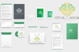 Corporate Identity Citrus Social